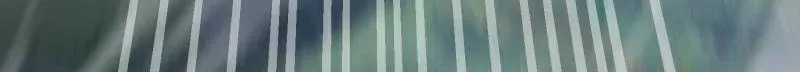第511话 510 给点黑药嘛65