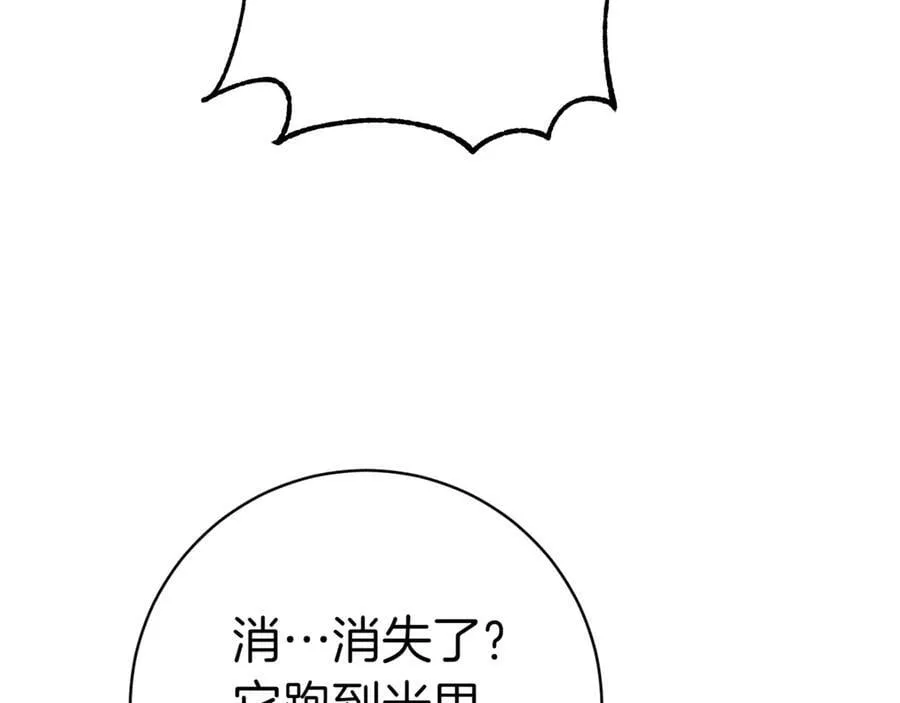 第132话 打直球205