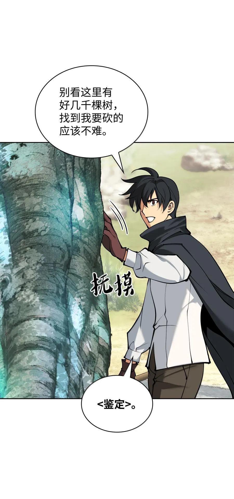 253 爆裂的树木17