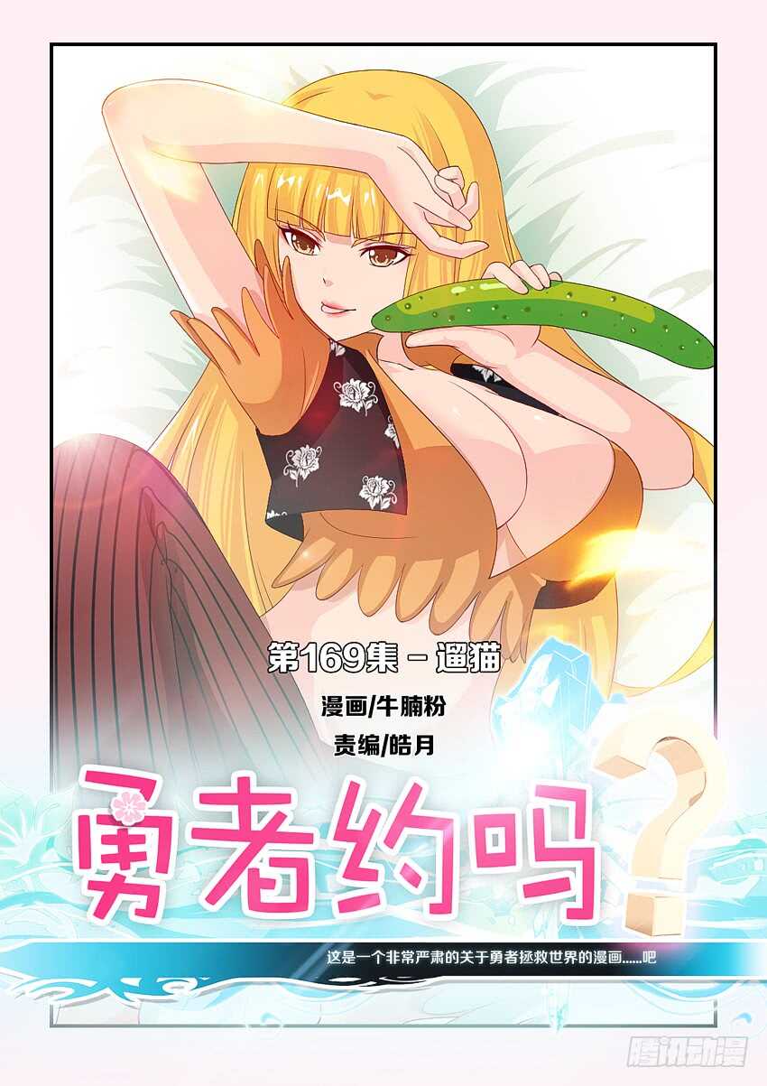 第169集 遛猫0