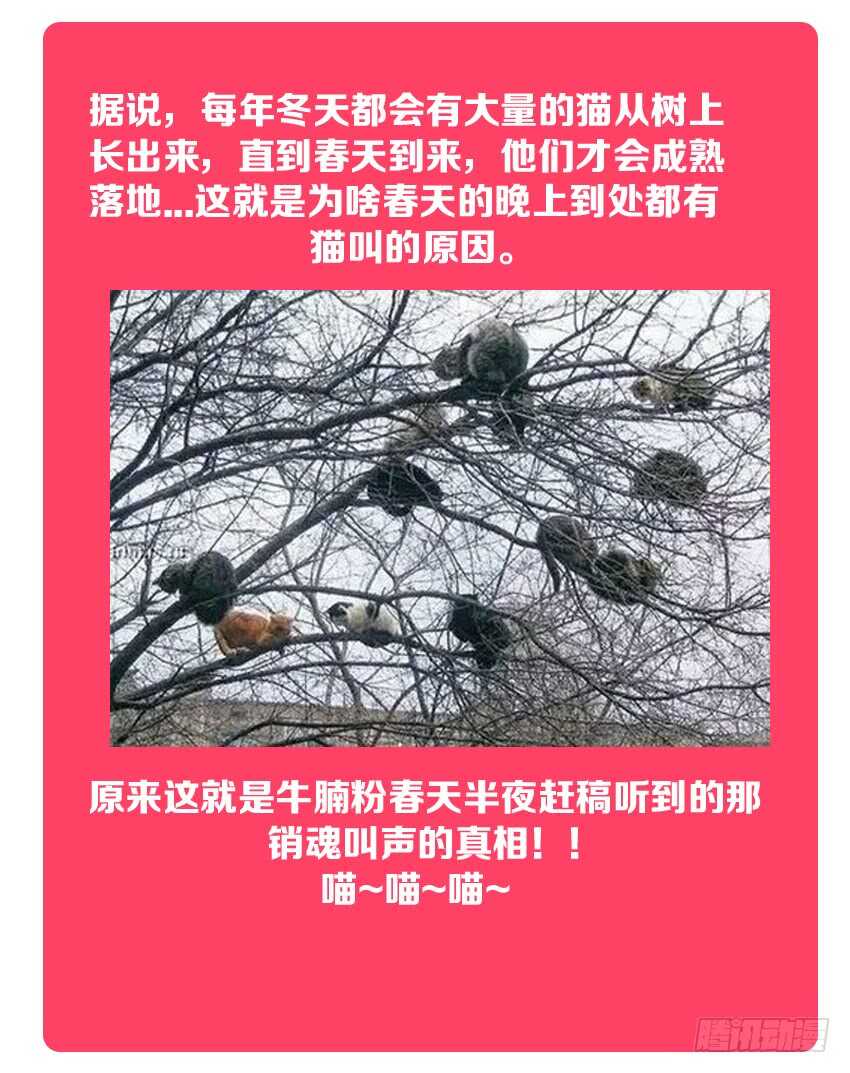 第143集 魔王大人12