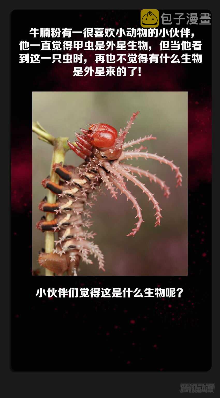 第219集 毫无干劲12