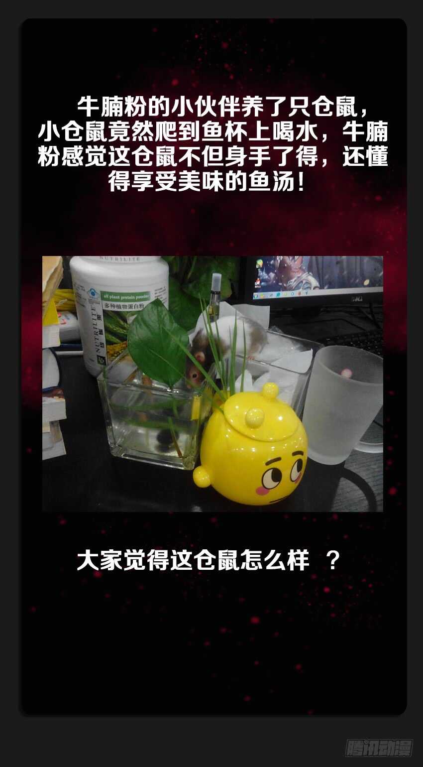 第220集 战书12