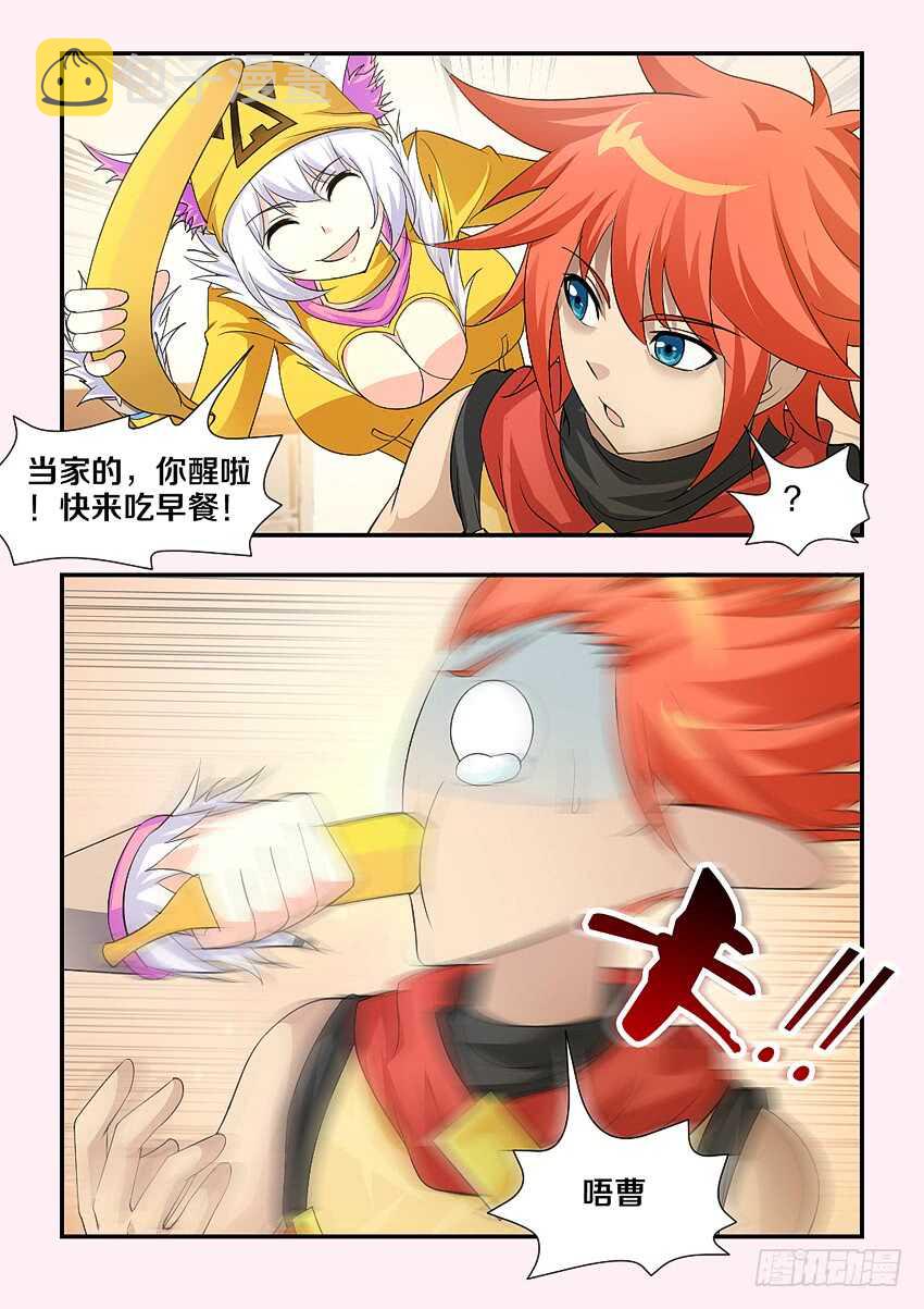 第169集 遛猫2