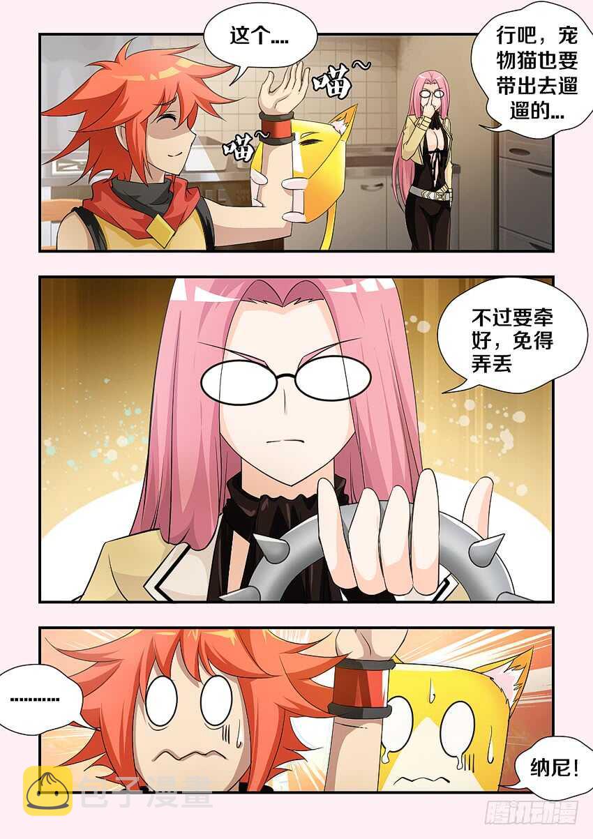 第169集 遛猫9