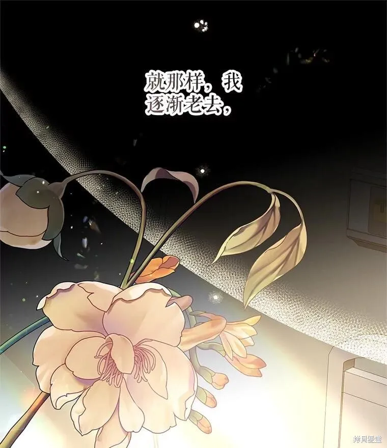 第104话95