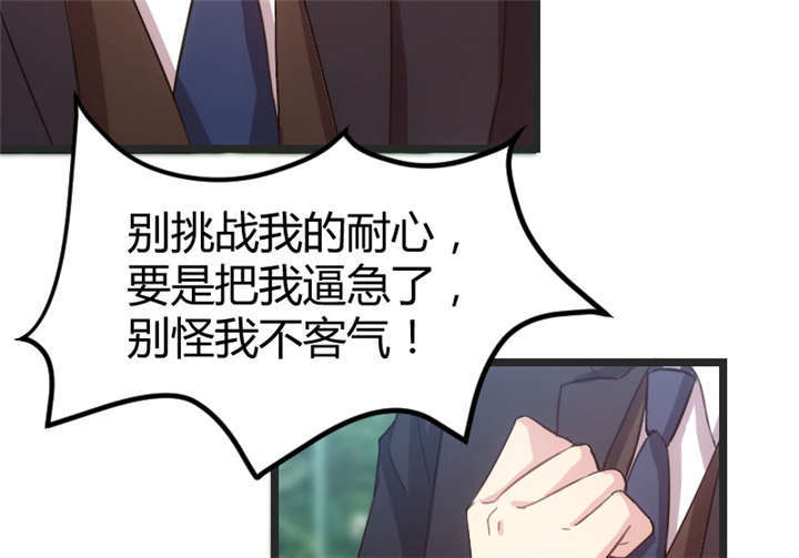 第32章：我想娶你26