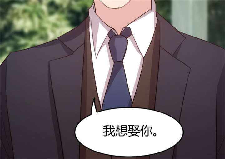 第32章：我想娶你31