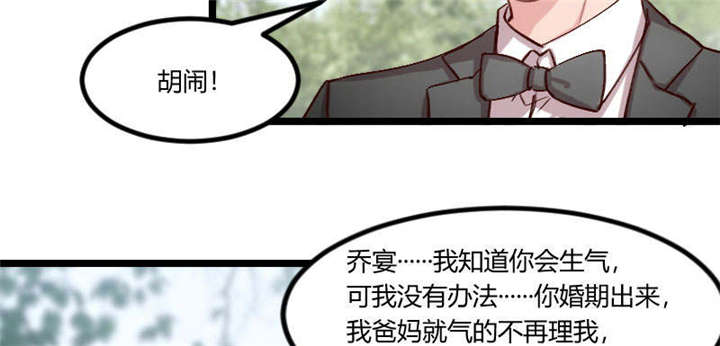第51章：婚礼67
