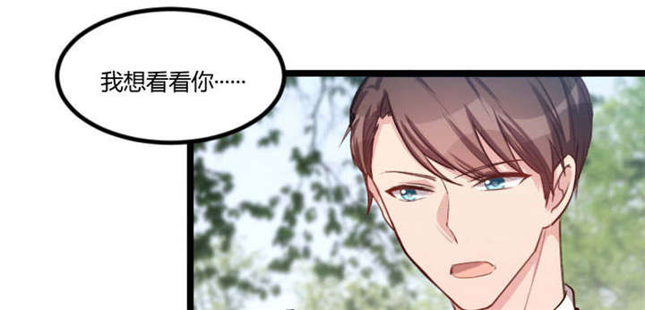 第51章：婚礼66