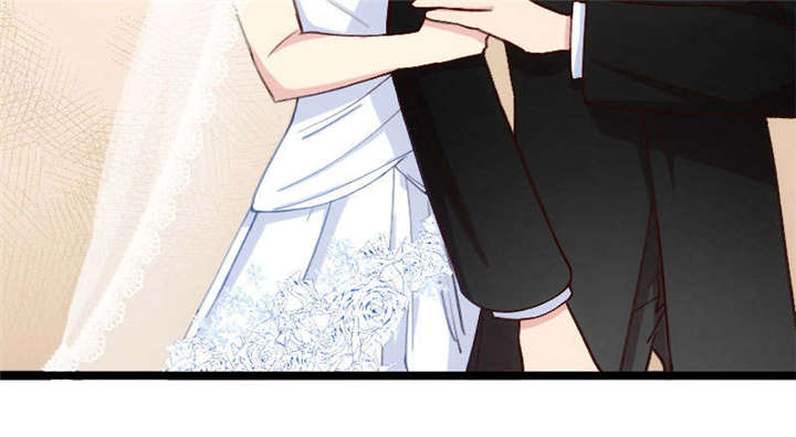 第51章：婚礼8