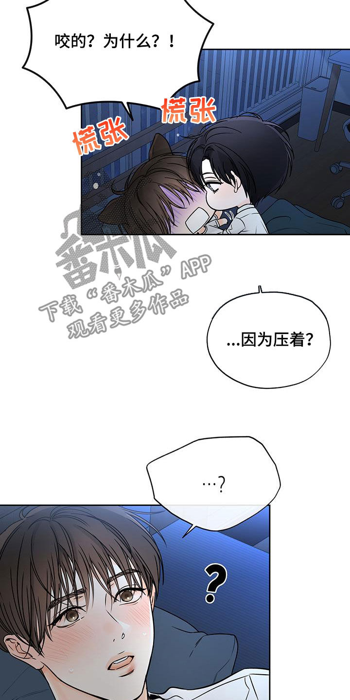 第51章：理智变得模糊13