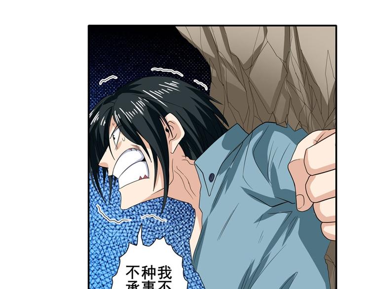 第117话13