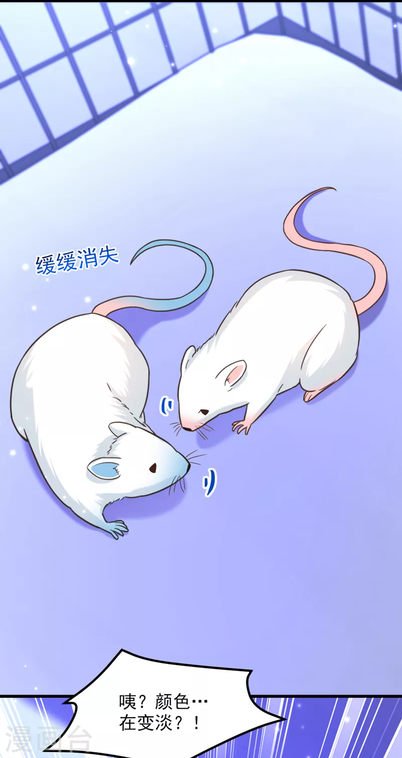 第346话 永远待在薄倾昂身边16