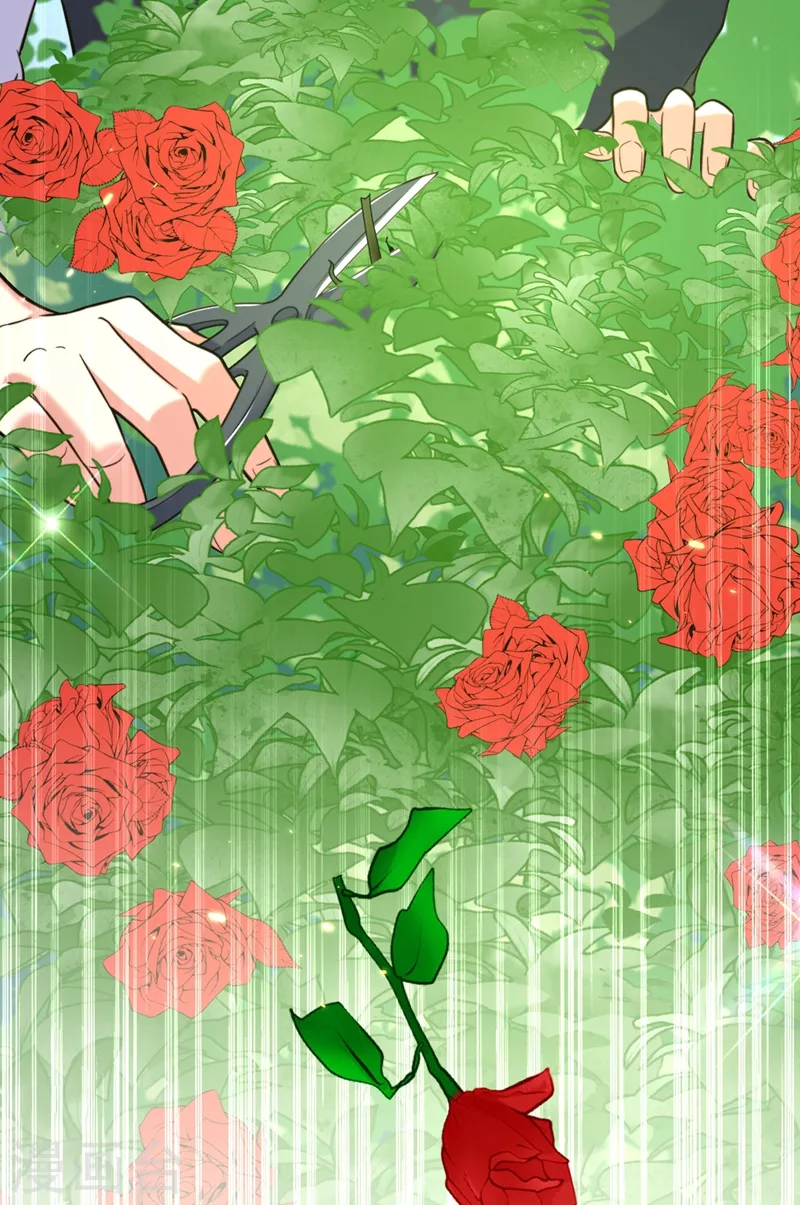 第310话 奇怪？他们在跟踪我16