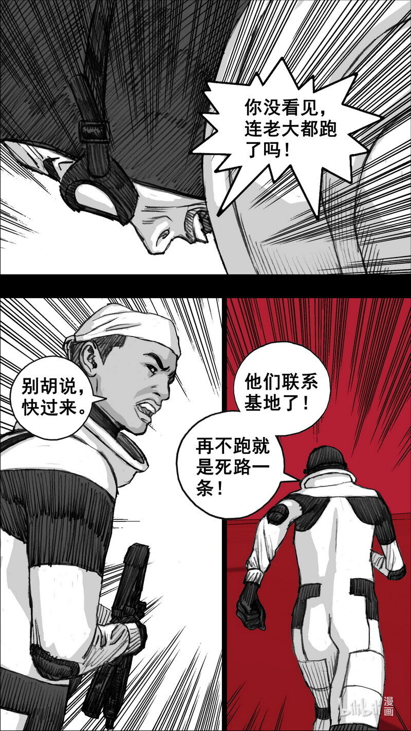 255 255花开富贵17