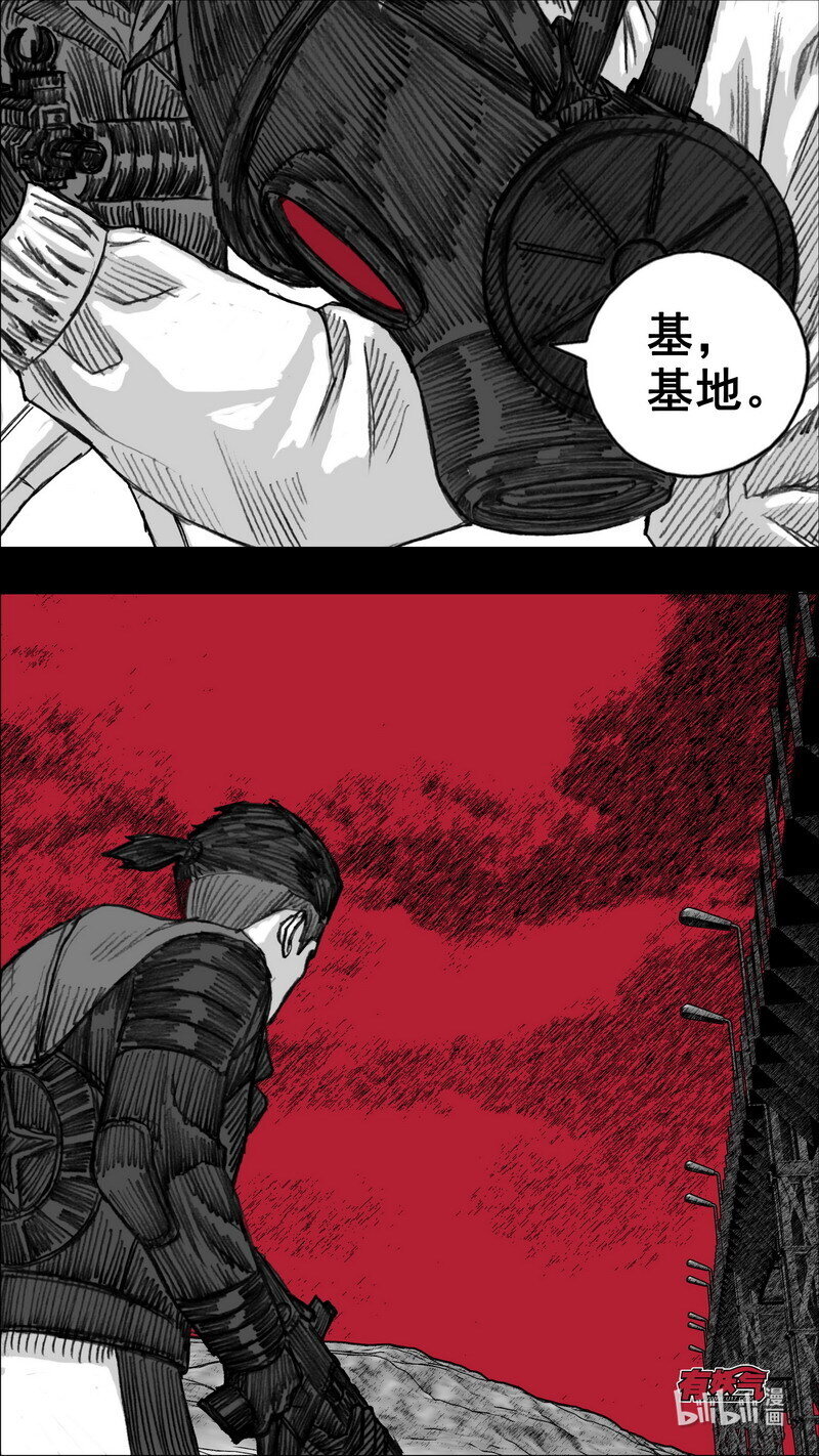 255 255花开富贵11