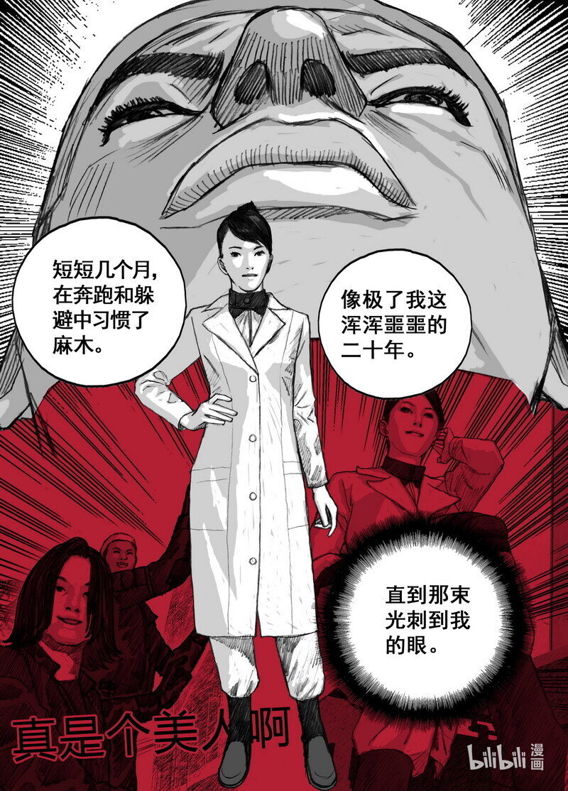 231 231全体的决定0