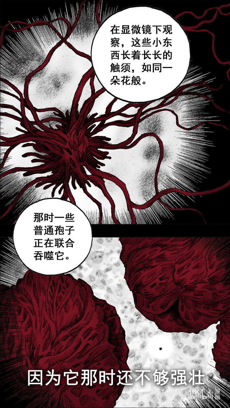 242 242屍菌皇后15