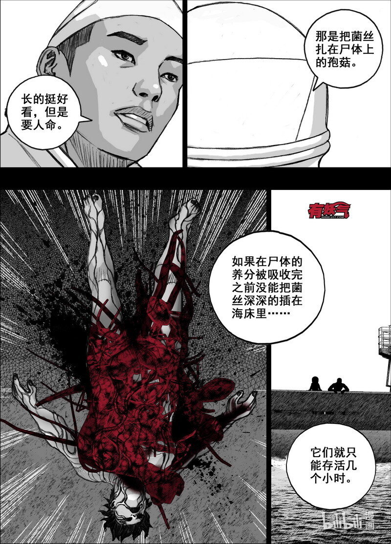 216 216从巷子到海边11
