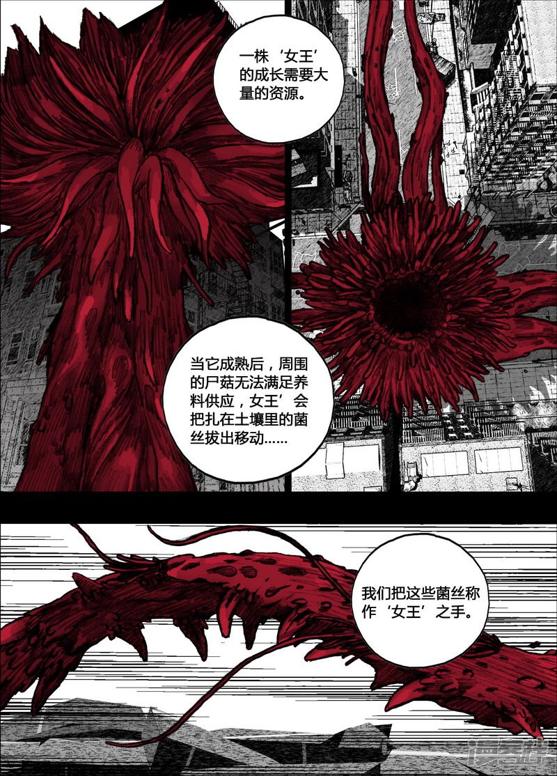 153 153宏刚的健身房10
