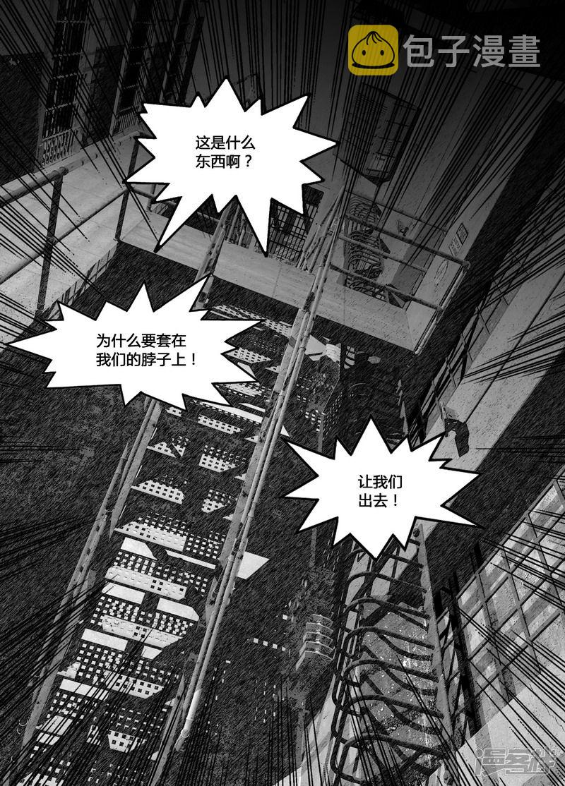 141 141项圈6