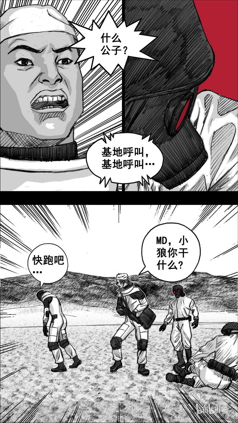 255 255花开富贵16