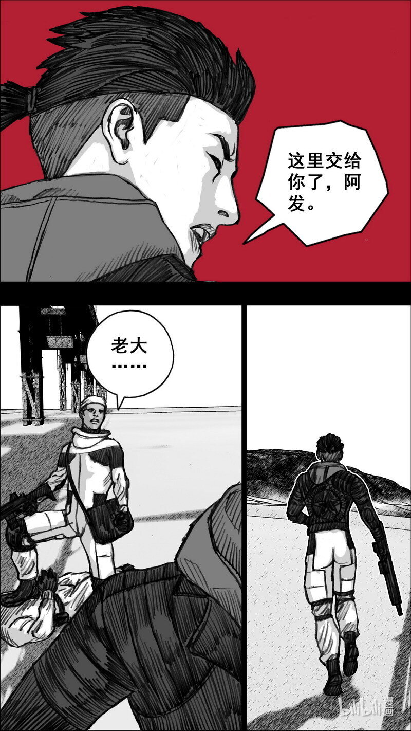 255 255花开富贵12