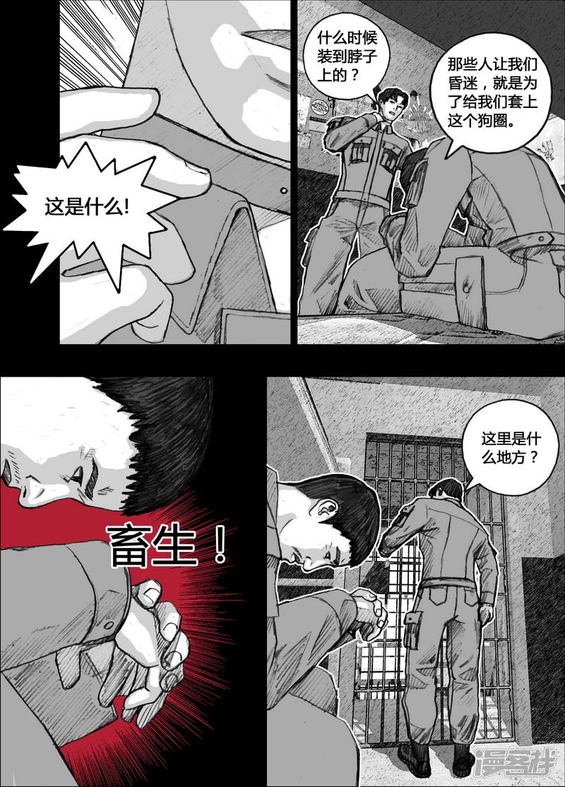 141 141项圈5