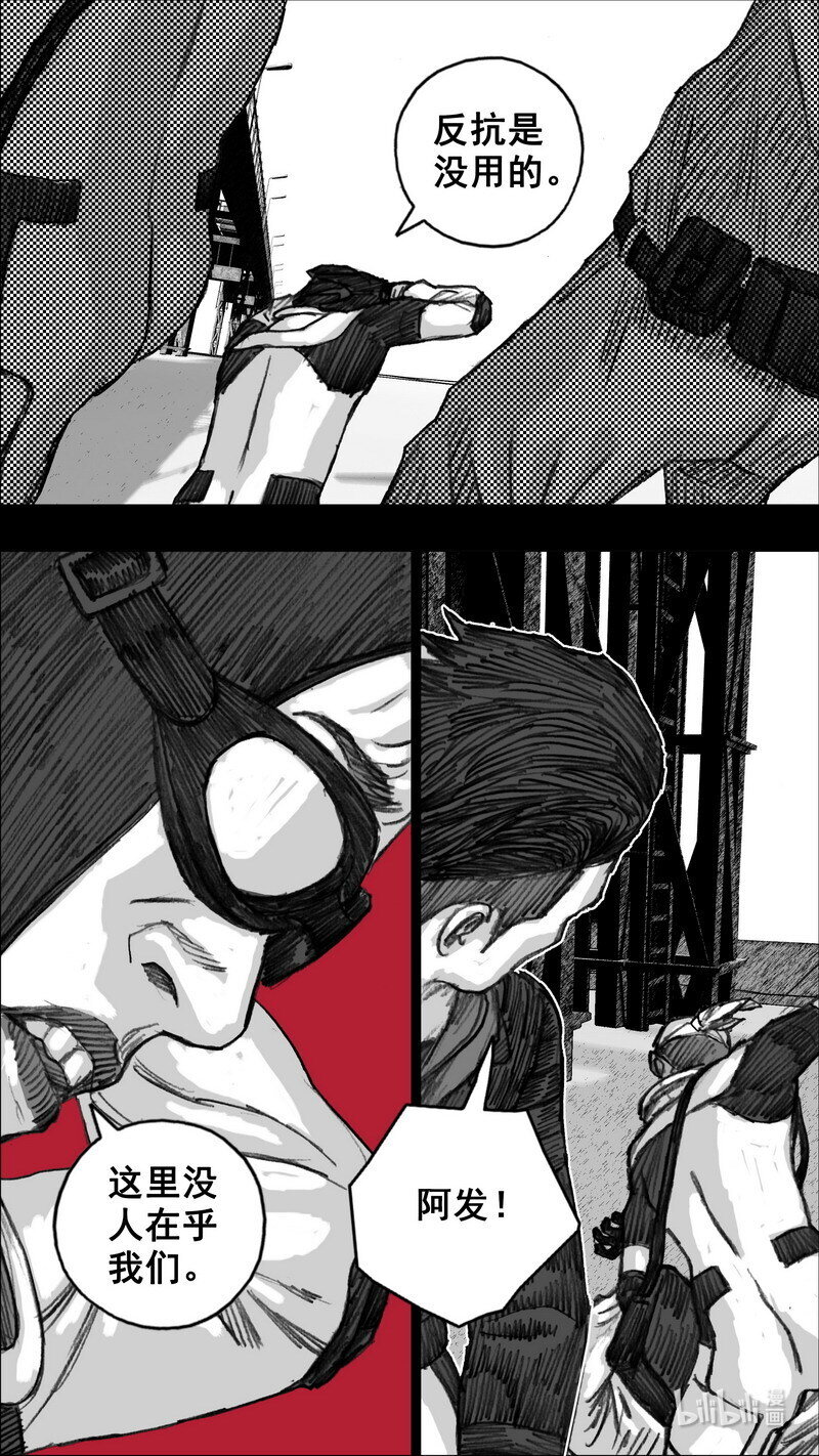 255 255花开富贵9