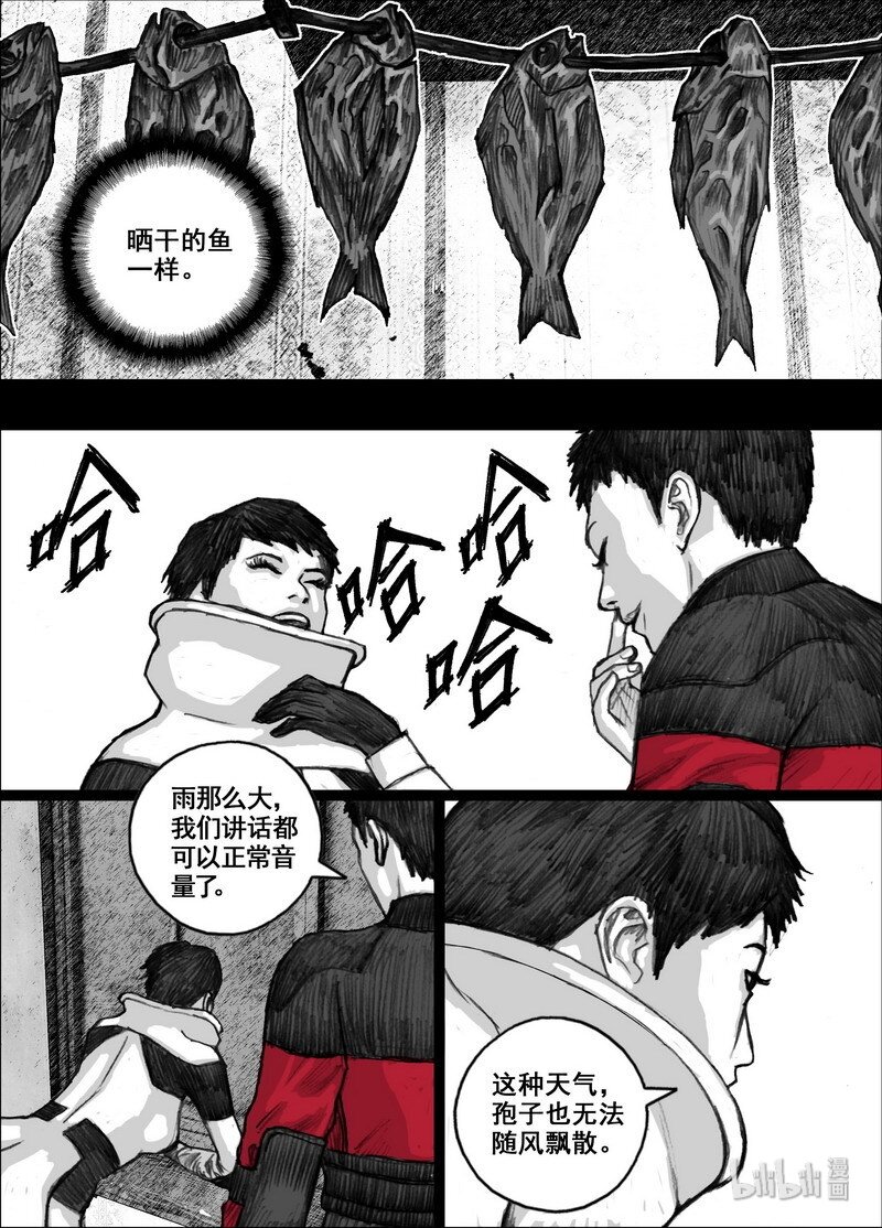 210 210乾鱼之味12