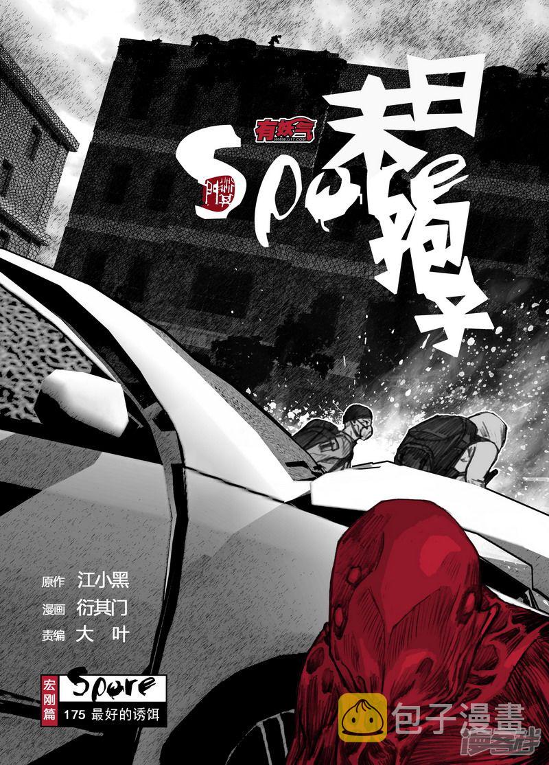 175 175最好的诱饵0