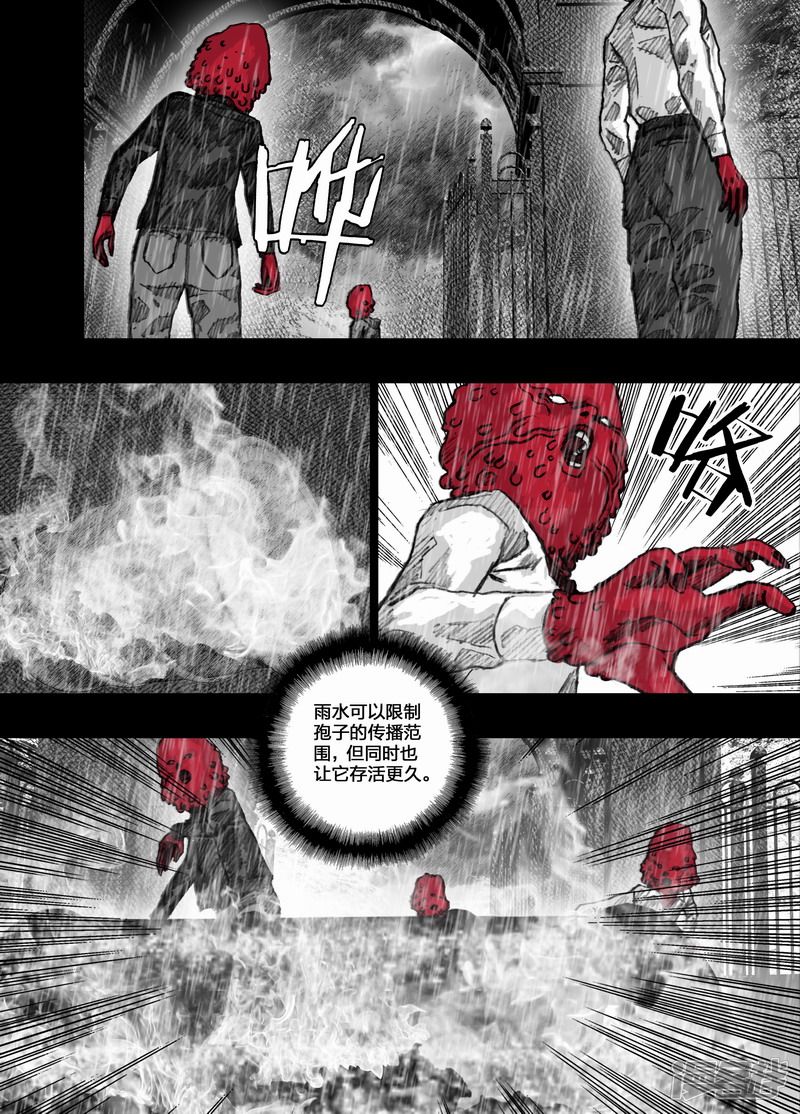 68 068在雨中7
