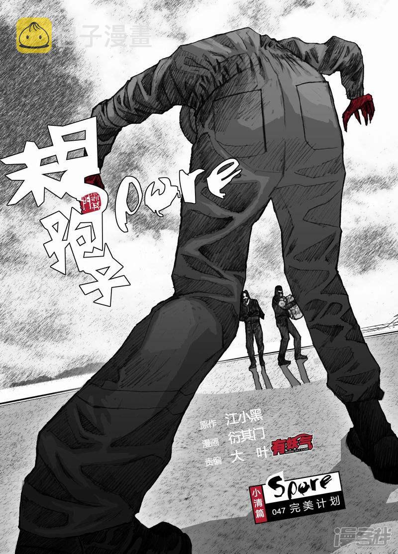47 047完美计划0