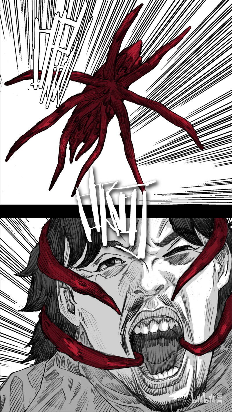246 246苏醒2