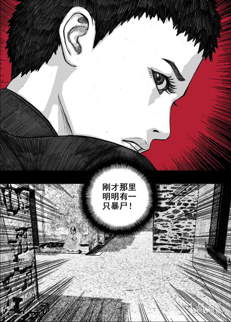 216 216从巷子到海边2