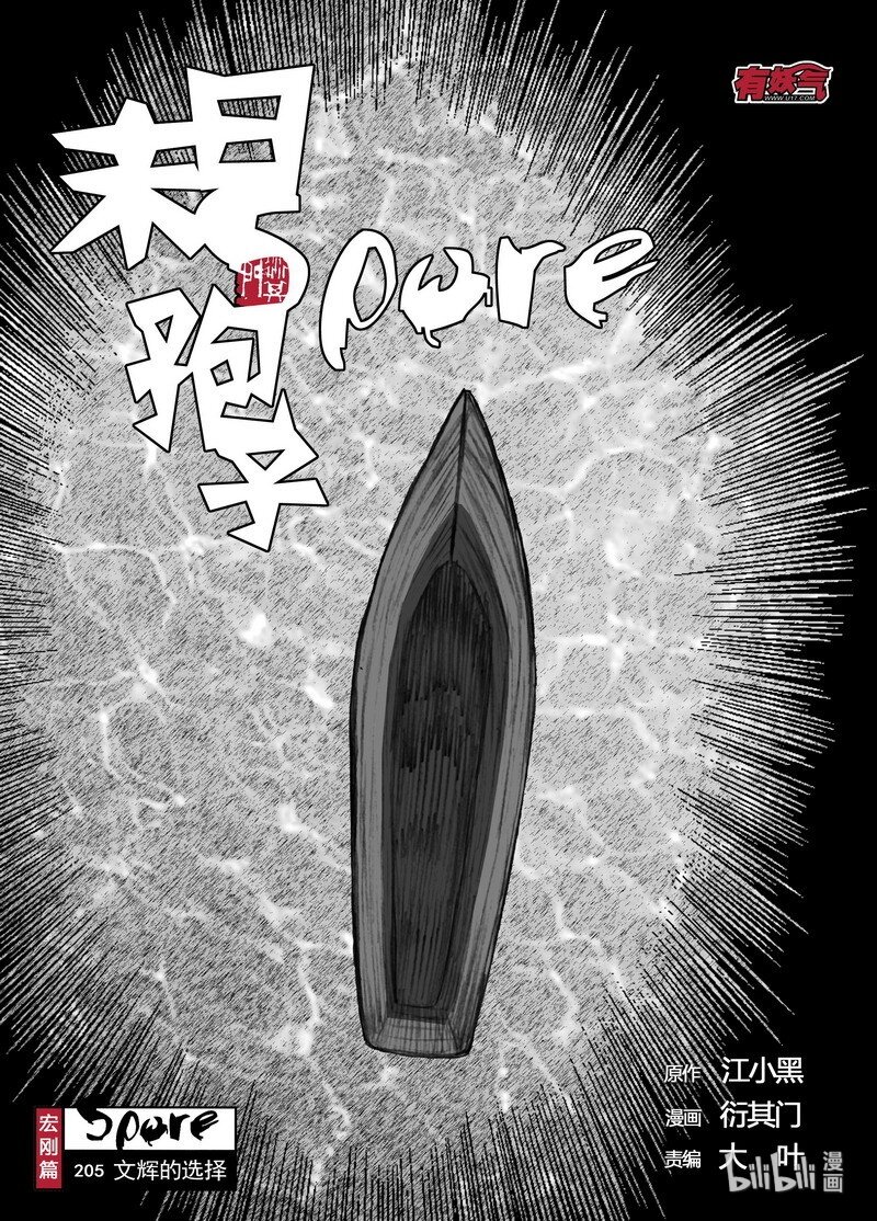205 205文辉的选择0