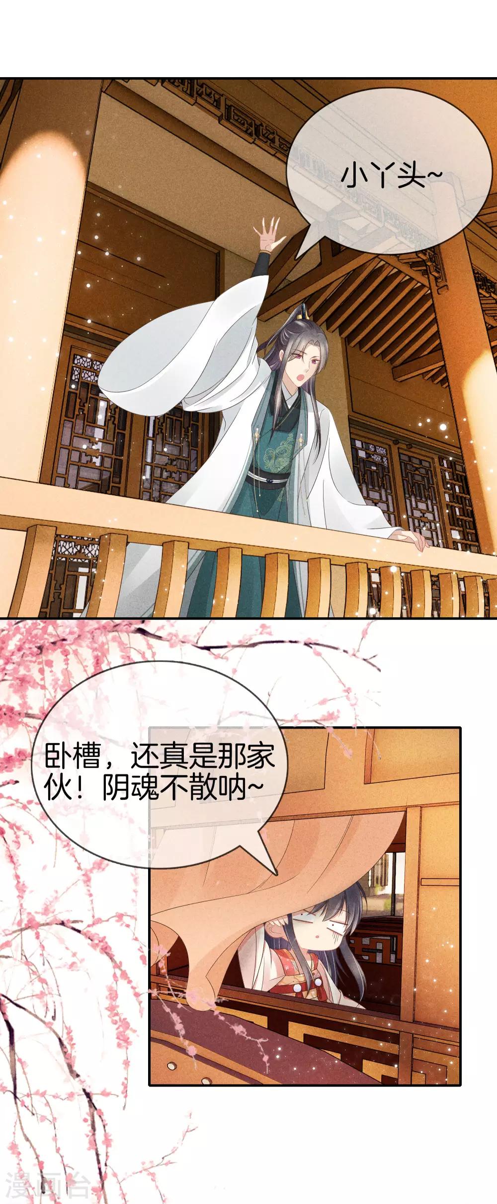 第42话 撞见九皇子15