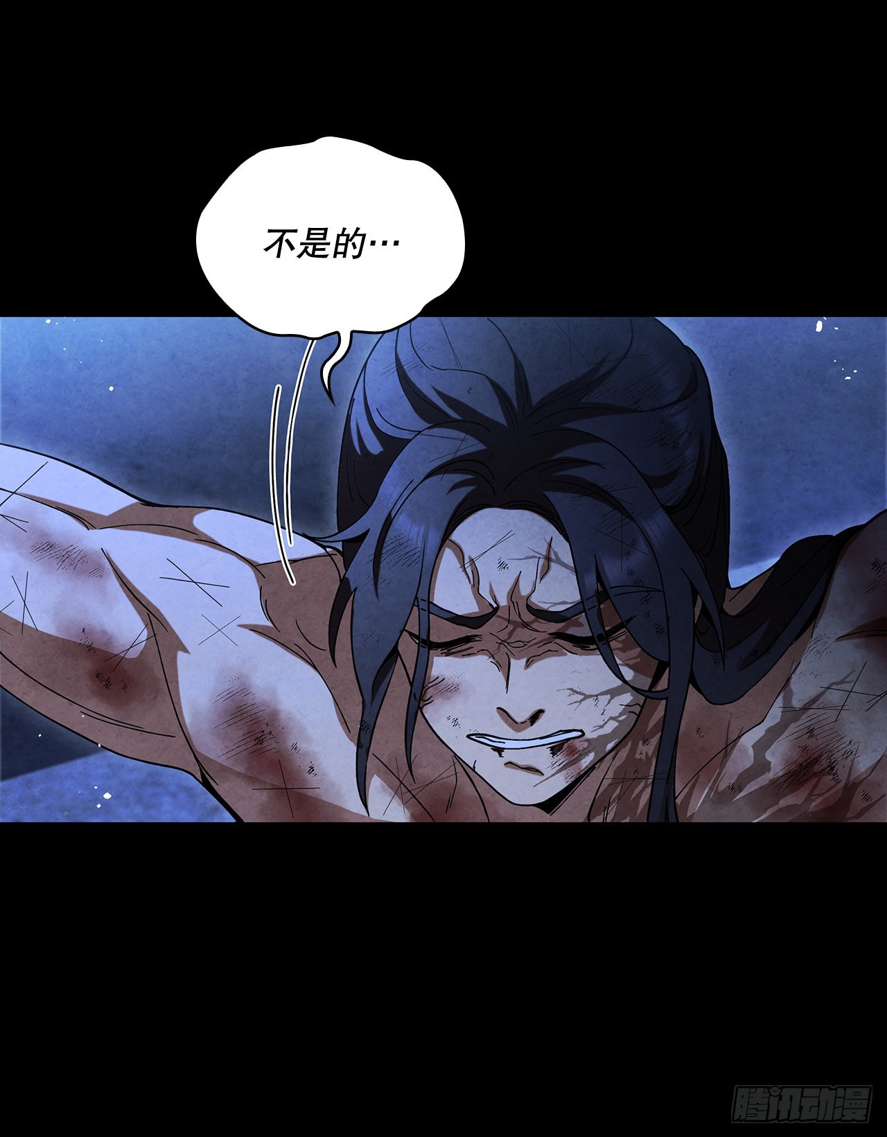 65.剑兰伤心38