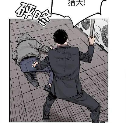 4456