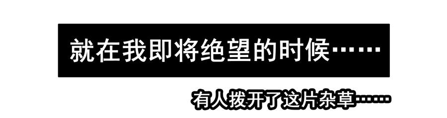 1595 愚公9