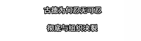 1446 前传预告34