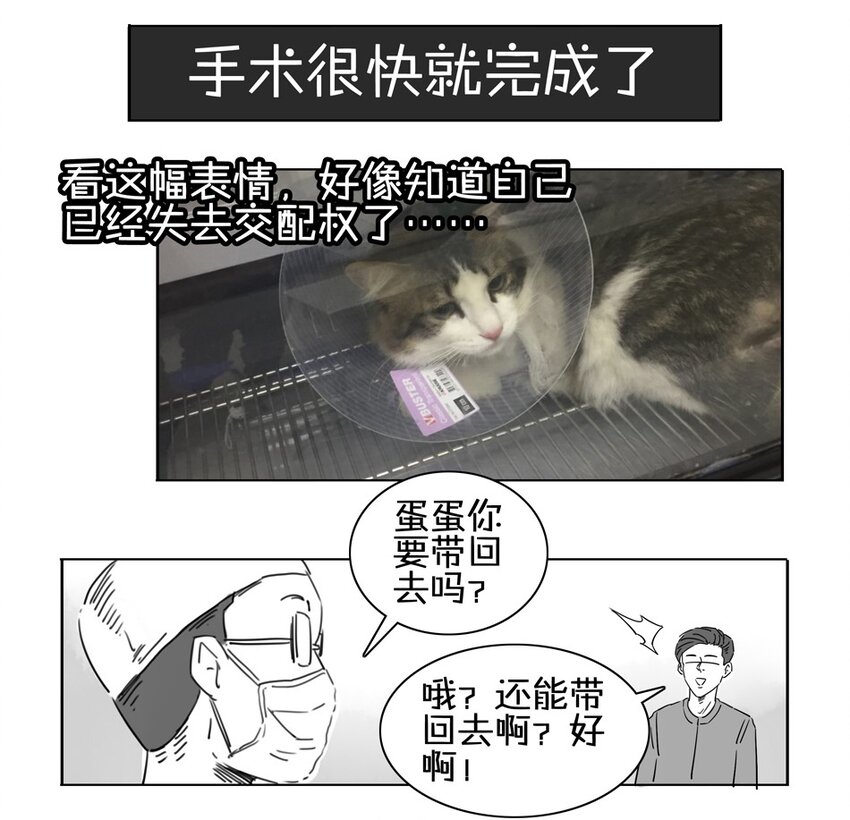 900 九百话纪念88