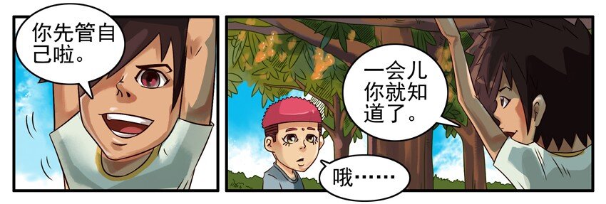 374 摘枇杷4