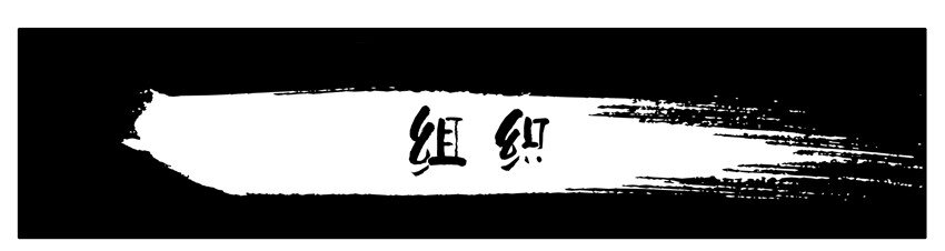 144 组织0