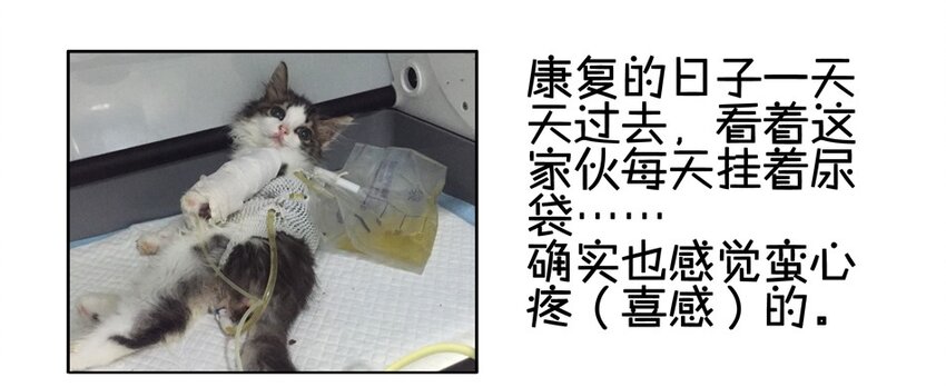 900 九百话纪念49