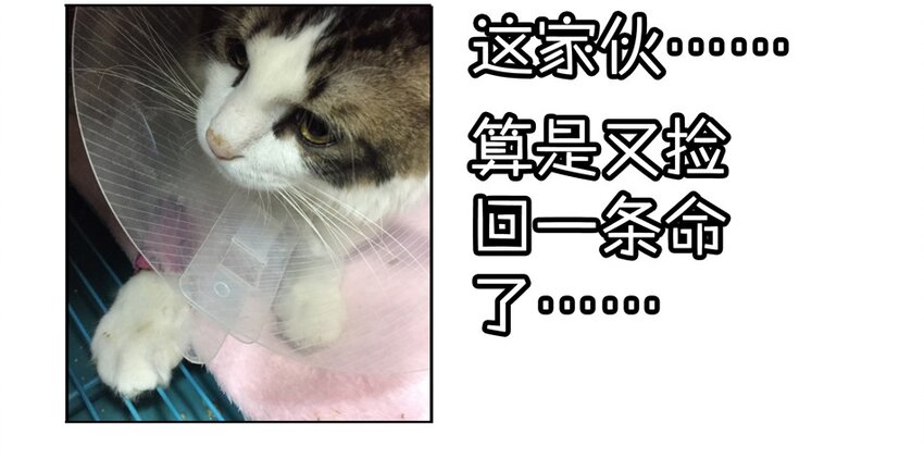 900 九百话纪念115