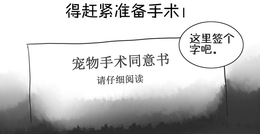 900 九百话纪念40