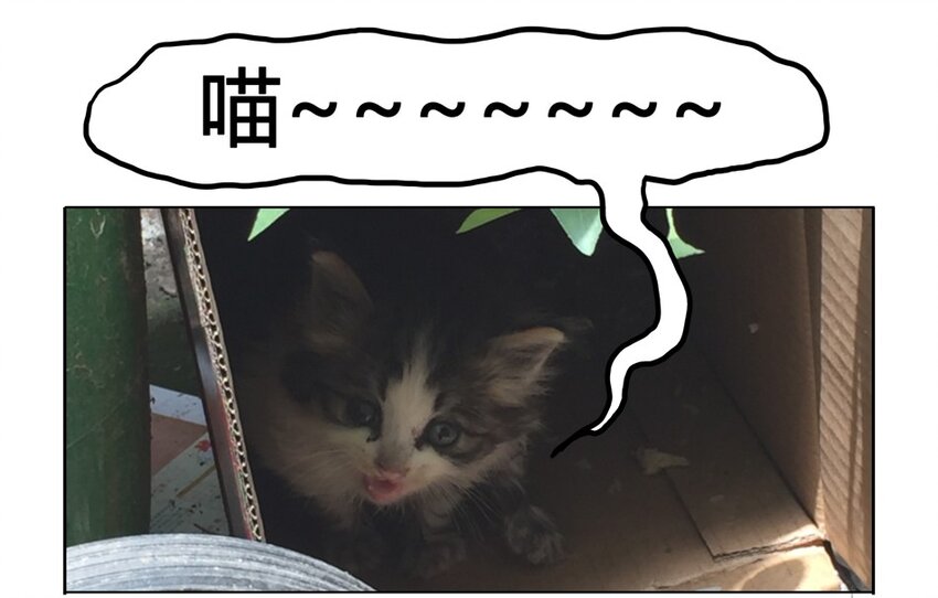 900 九百话纪念9