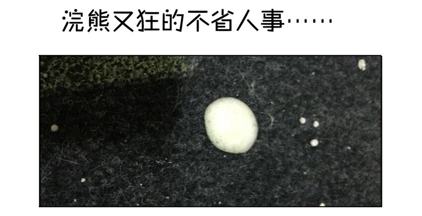 900 九百话纪念120